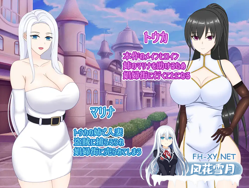 [RPG/机翻]寝取られ娼婦街 ～強気幼馴染が娼婦に堕ちる～[773M][BD]-神域次元