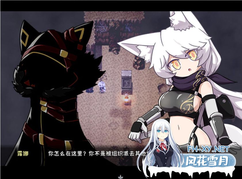 [ARPG/官中] 暗影之狼 wolf of shadow V0.6.F.1 官方中文版 [200M]-神域次元