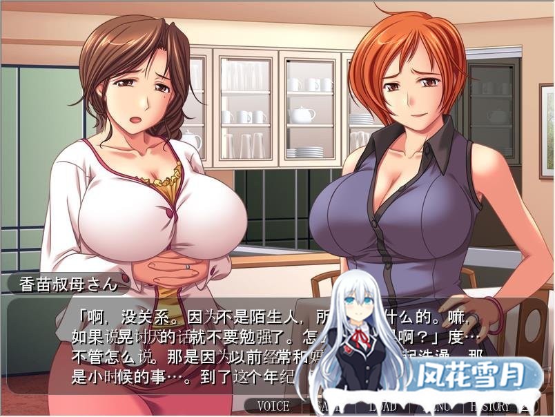 [ADV拔作/汉化/CV] 美丽嘛嘛~甜蜜游戏 云汉化版 [PC+安卓/300M]-神域次元