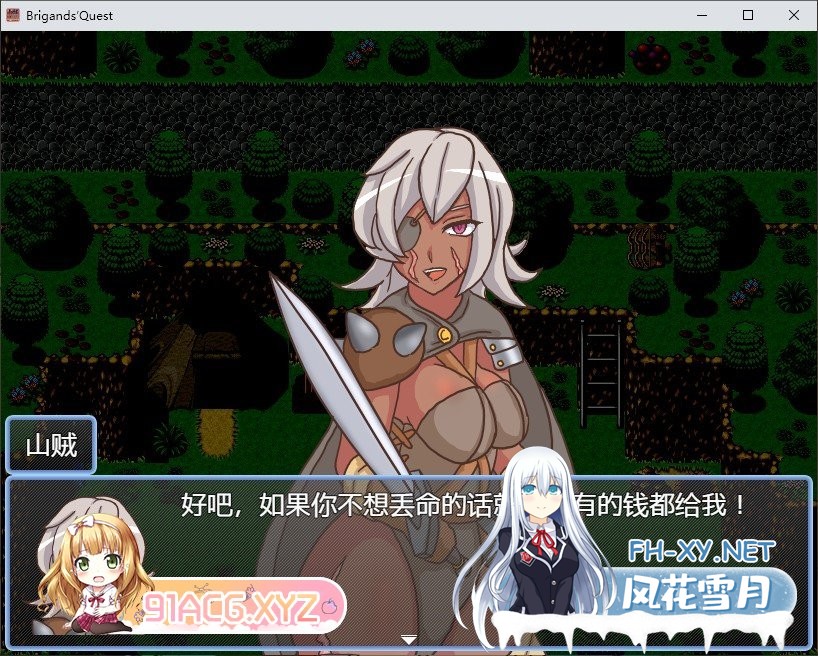 [精品RPG/汉化]山贼任务 内嵌AI汉化版+全CG存档[新汉化][630M]-神域次元