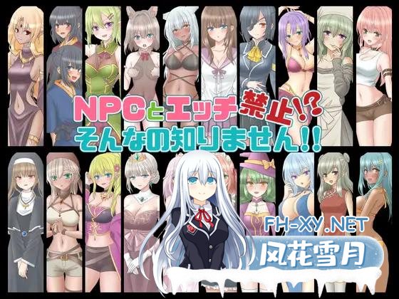 [路人见NPC见系列RPG机翻]NPCとエッチ禁止!?そんなの知りません!! V1.1 [1G]-神域次元