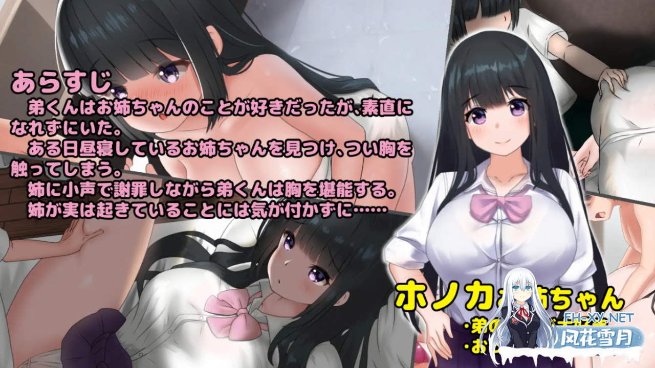 [SLG] 希 望 被 弟 袭 击 的 姐 姐 V1.04 步兵完全版 [ 1.3G ]-神域次元